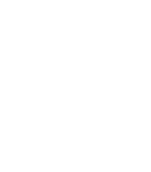 V4 Company